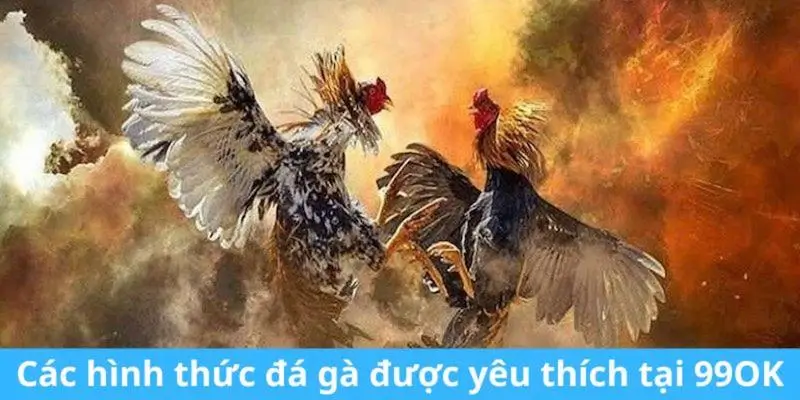 Các Hình Thức Đá Gà Tại 99OK